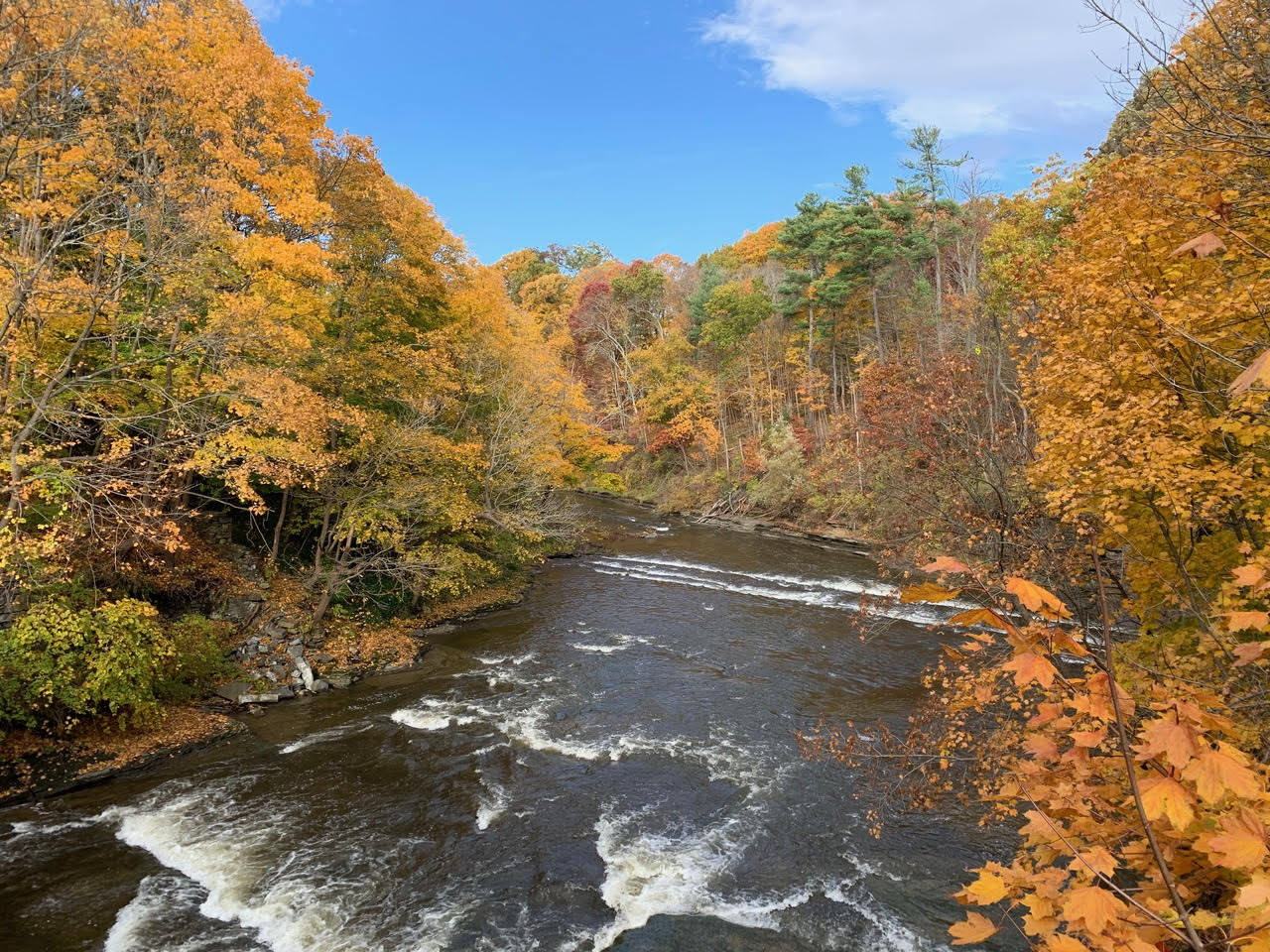 Falls in shallow creek, surrounded by trees in fall colors.